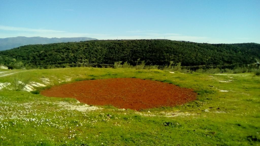 Apartamento O Casa Rural Roquemar Guijo de Granadilla Εξωτερικό φωτογραφία